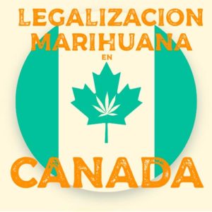 legalización de la marihuana en canadá - cbd y marihuana medicinal